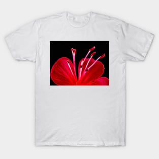 glowing vivid floral fantasy with delicate and intricate stamens T-Shirt